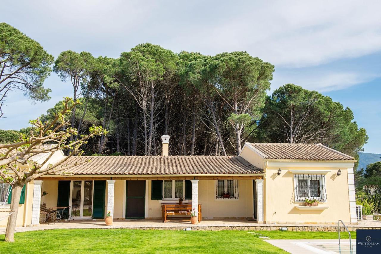 Villa Pine Forest Kompítsion Exterior foto