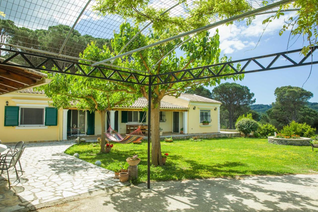 Villa Pine Forest Kompítsion Exterior foto